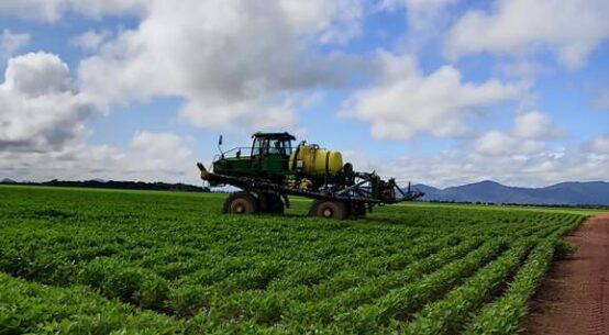 Rota dos Grãos: Governo e Conab fazem mapeamento da área plantada em Roraima
