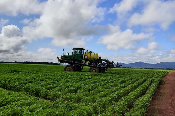 Rota dos Grãos: Governo e Conab fazem mapeamento da área plantada em Roraima