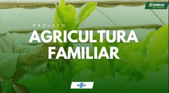 Feira da Agricultura Familiar retorna ao Espaço Sebrae Roraima a partir de 7 de junho