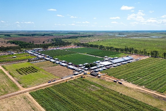 AgroBV 2025: Campo Experimental é uma vitrine de tecnologia e inovação