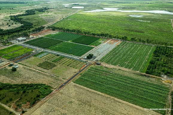 AgroBV 2025: com destaque em cultivares e inovação, Campo Experimental se prepara para receber Maior Evento do Agro de Roraima
