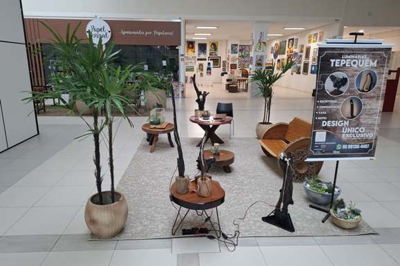 Arte e Decoração: artista plástica transforma pedaços de madeira da Serra do Tepequém em luminárias customizadas