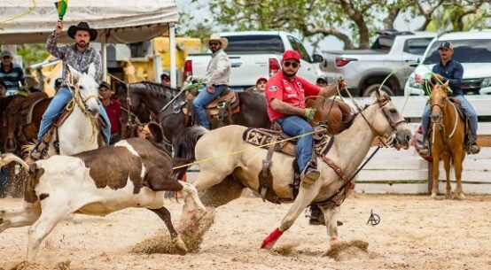 Cavalgada no Paredão homenageia produtores rurais e vaqueiros de Alto Alegre