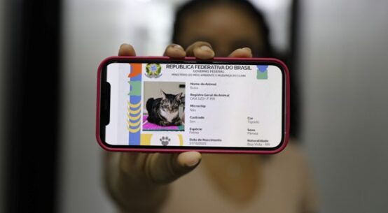 Carreta dos Direitos da DPE promove ação de registro gratuito de cães e gatos
