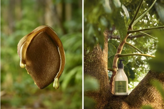 Novo Natura Ekos Andiroba traz um tratamento cosmético anti-cansaço potente