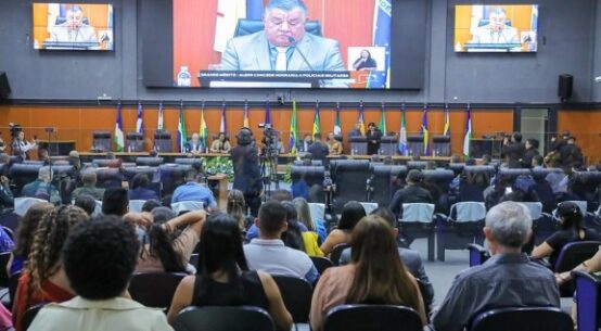 Cajucultura em Roraima: ALERR discute futuro do cultivo do caju em audiência pública nesta quinta-feira