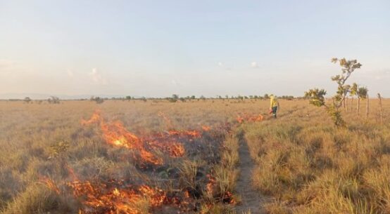 Brigadistas indígenas realizam ações preventivas contra incêndios florestais em RR