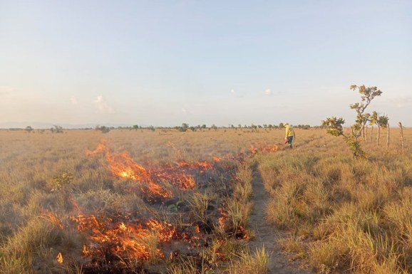 Brigadistas indígenas realizam ações preventivas contra incêndios florestais em RR