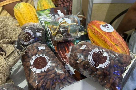 Cacau amazônico ganha espaço no pavilhão do Sebrae na Expoferr e fortalece agricultura familiar em Roraima