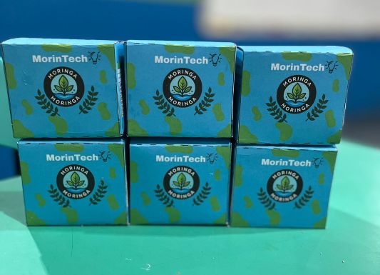 Duas escolas estaduais representam Roraima na etapa nacional do Desafio Liga Jovem