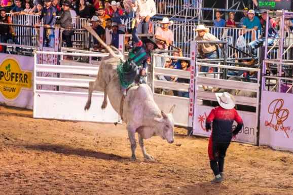 Expoferr Show: competição de rodeio começa com arquibancadas cheias e peões disputando R$ 33 mil em prêmios
