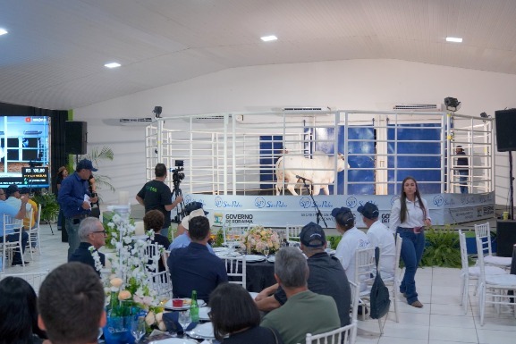 Leilões da Expoferr Show 2025 movimentam mais de R$ 5 milhões em negócios