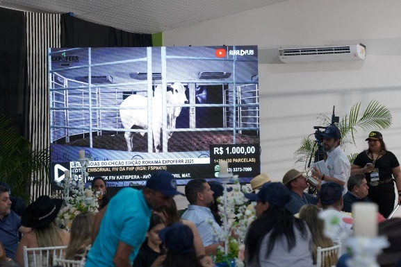 Expoferr Show: leilões trazem melhor da genética bovina e reúnem compradores de todo o Brasil em Roraima