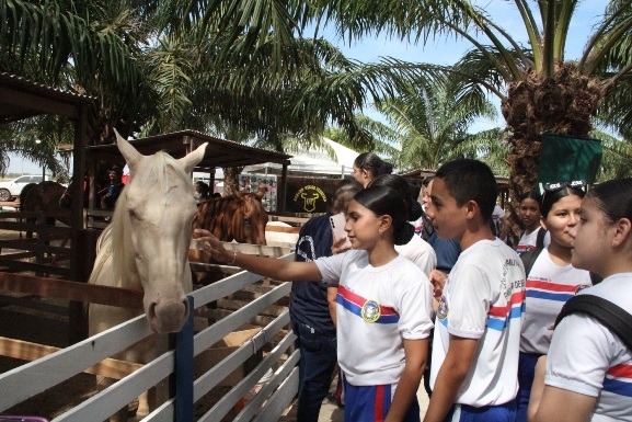 Rota do Conhecimento: estudantes participam de visitas guiadas na Expoferr Show 2025