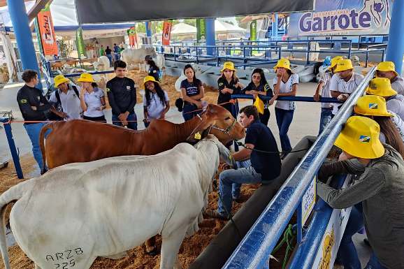 Rota do Conhecimento transforma Expoferr Show 2025 em sala de aula interativa