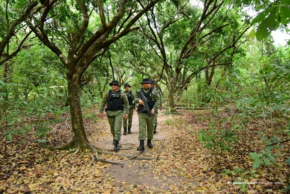 Grupamento de Proteção Ambiental atua na preservação da fauna e da flora em Boa Vista