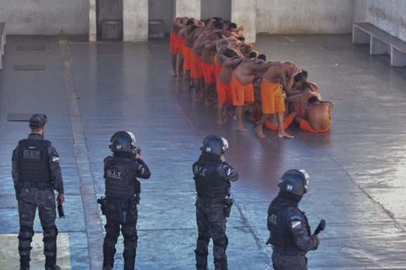 Operação Mute: nona fase da ação termina sem registro de ilícitos na Pamc