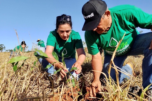 Apoio do Sicredi impulsiona agricultores familiares e fortalece comunidades em Roraima