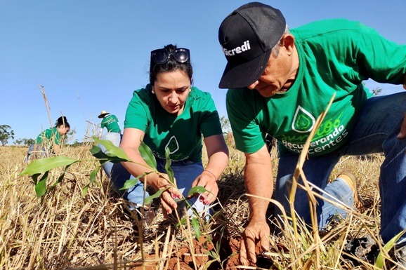 COP 30: Sicredi leva iniciativas sustentáveis com foco no Norte e destaca ações que inspiram cooperativas de Roraima