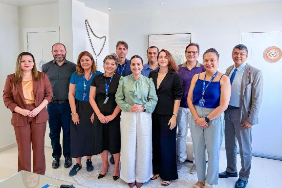 Comitê de Educação do TCE-RR promove intercâmbio de boas práticas com TCMRIO