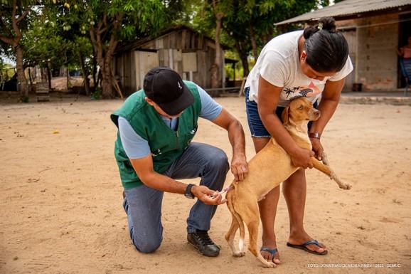 Campanha Antirrábica: vacinação avança na zona rural e imuniza cães e gatos no PA Nova Amazônia