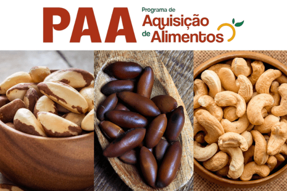 Apoio emergencial fortalece formação de estoques do PAA para mel e castanhas