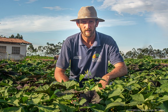 Agrobv: Feira da Agricultura Familiar apresentará seis cultivares de batata-doce, ensaio inédito em Roraima