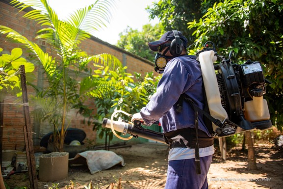 Aedes Aegypti: Boa Vista cai para médio risco em transmissão de dengue, zika e chikungunya