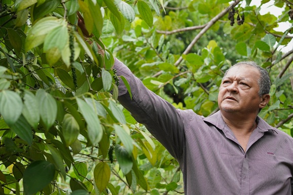 Audiências públicas e leis aprovadas pela ALE-RR destacam importância do trabalhador rural