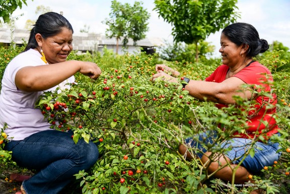 Mãe e filha mostram protagonismo feminino em ações empreendedoras na zona rural de Boa Vista