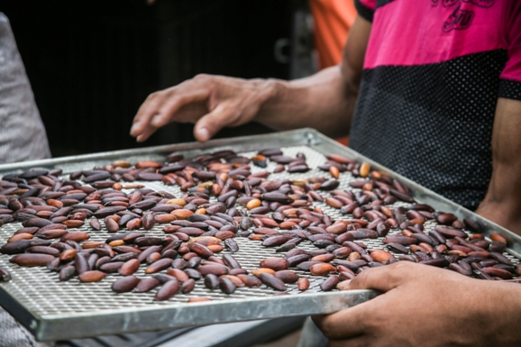 Empresas e negócios podem ajudar a manter a floresta de pé e fortalecer a bioeconomia na Amazônia