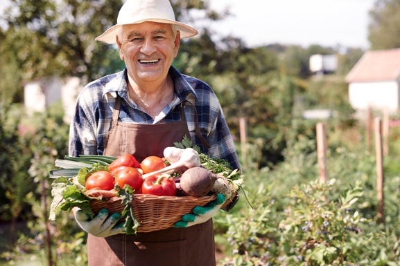 Cantá: Sebrae-RR e parceiros realizarão a Semana da Saúde do Produtor Rural da Agricultura Familiar