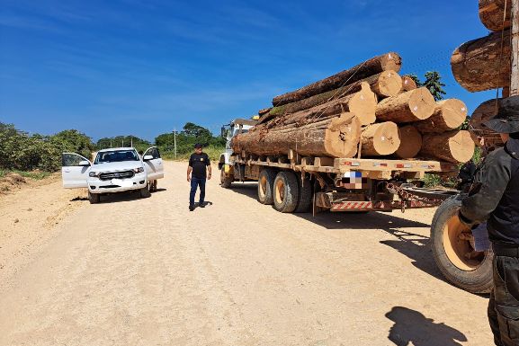 Operação Bioma: DPMA realiza fiscalizações no interior para coibir crimes ambientais em Roraima