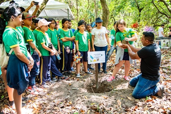 Bosque dos Papagaios terá programação em alusão ao Dia Internacional da Terra