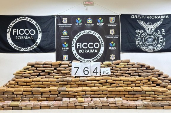 Ficco-RR apreende quase de 800 kg de skunk em Roraima