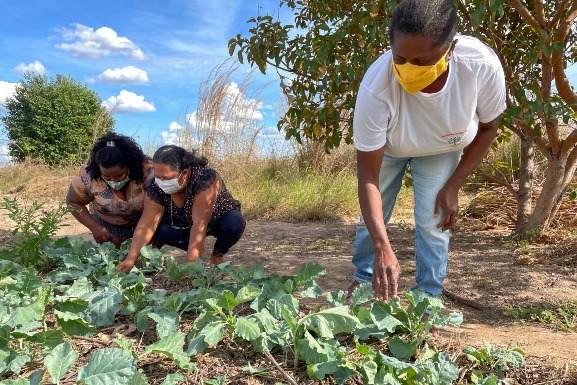 Agricultoras do Lavrado celebram o Dia do Agricultor com iniciativas agroecológicas