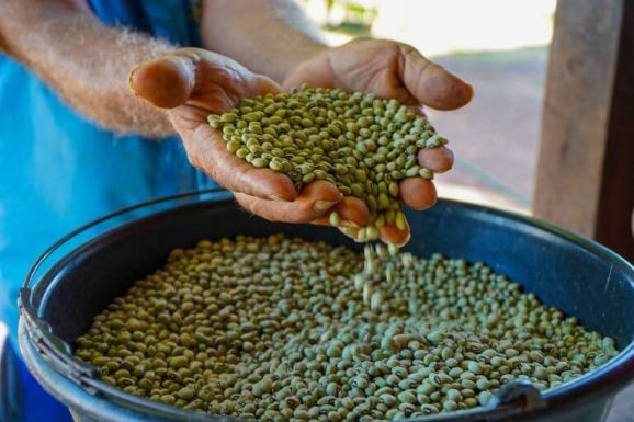 Senador Mecias propõe “Desenrola Rural” para apoiar a agricultura familiar