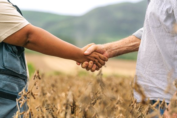 Pensando em investir?: para associados do Sicredi, LCA é uma alternativa segura e rentável