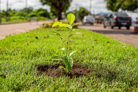 Regulamento da 3ª Conferência Municipal do Meio Ambiente está disponível para consulta pública