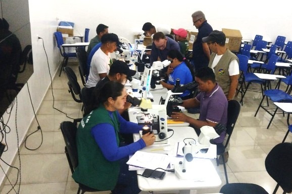 Rorainópolis: Sesau promove oficina de Vigilância Entomológica e Controle Vetorial da Malária