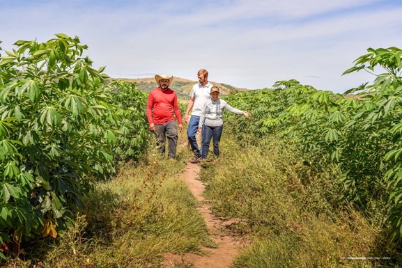 Agricultura familiar: assistência técnica e apoio da Prefeitura impulsionam o setor em Boa Vista